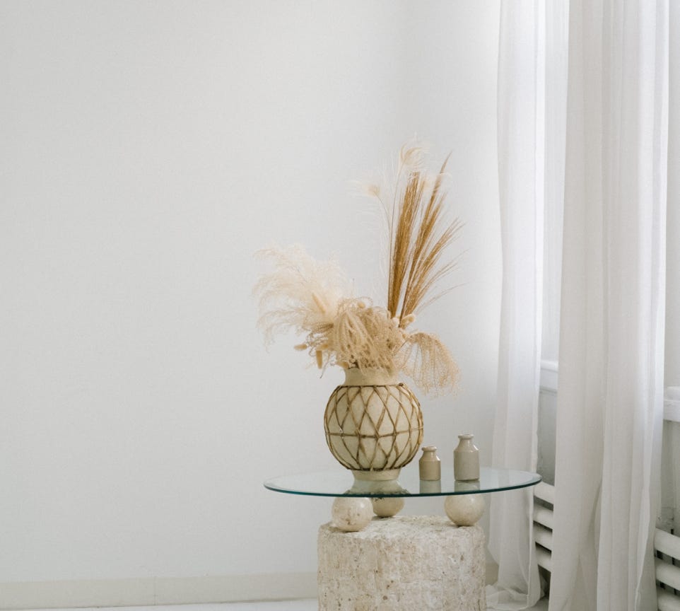 Curtain near Table with Plant